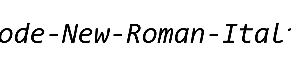 Code-New-Roman-Italic