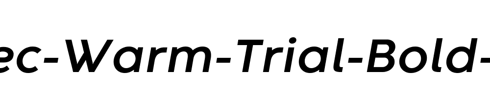 Codec-Warm-Trial-Bold-Italic