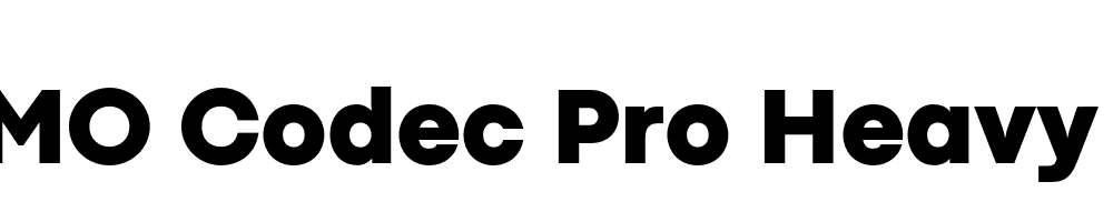 FSP DEMO Codec Pro Heavy Regular