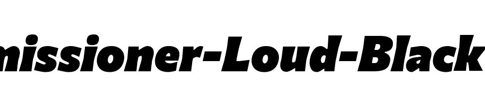 Commissioner-Loud-Black-Italic