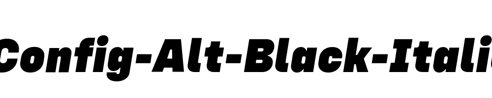 Config-Alt-Black-Italic