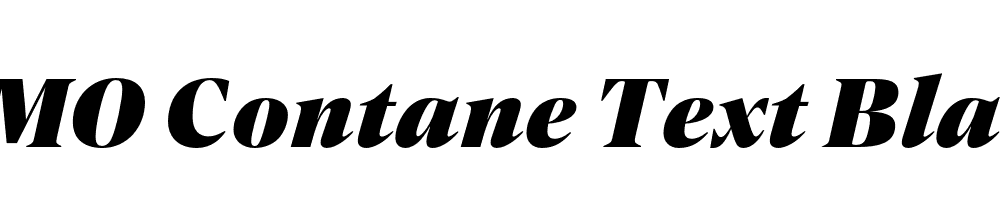 FSP DEMO Contane Text Black Italic