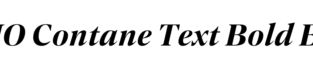 FSP DEMO Contane Text Bold Bold Italic