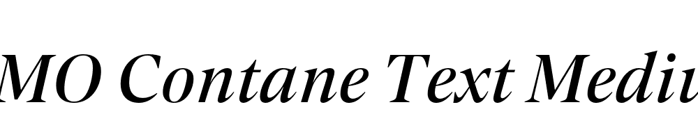 FSP DEMO Contane Text Medium Italic