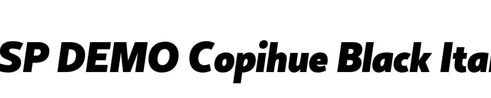 FSP DEMO Copihue Black Italic