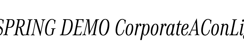  DEMO CorporateAConLig Italic