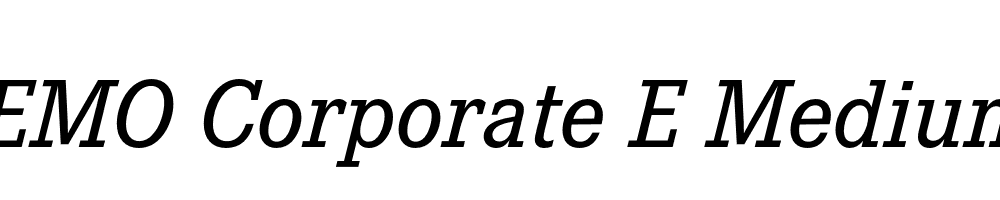 FSP DEMO Corporate E Medium Italic