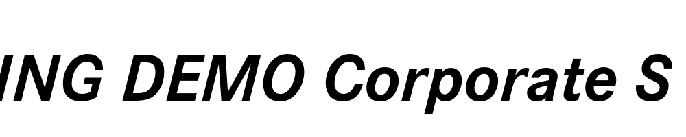  DEMO Corporate S Bold Italic