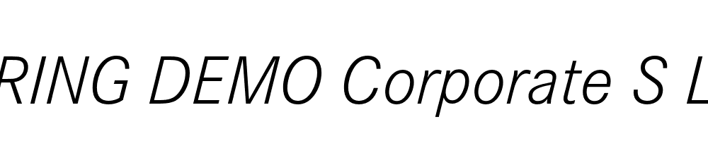  DEMO Corporate S Light Italic