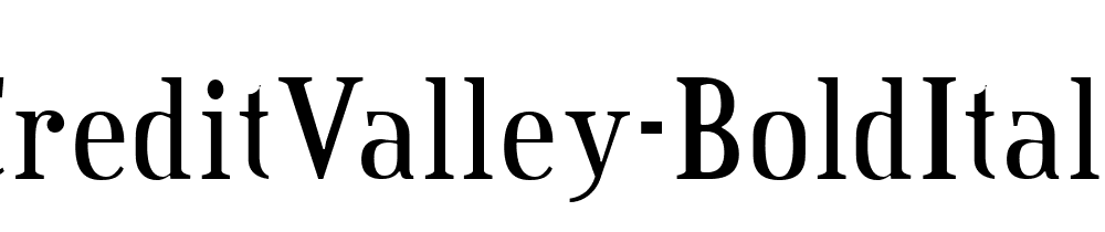 Credit Valley Bold Italic