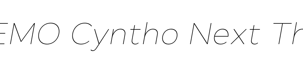 FSP DEMO Cyntho Next Thin Italic