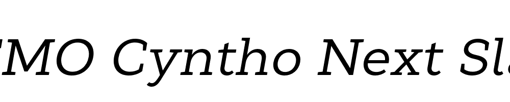 FSP DEMO Cyntho Next Slab Italic