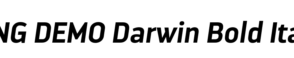  DEMO Darwin Bold Italic Regular