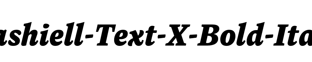 Dashiell-Text-X-Bold-Italic