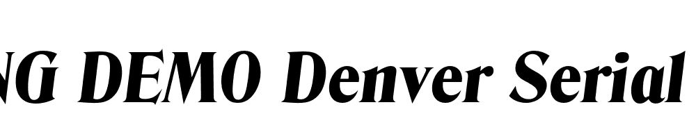  DEMO Denver Serial Heavy Italic