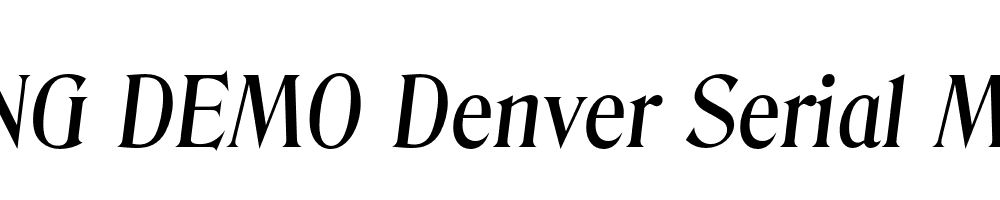  DEMO Denver Serial Medium Italic