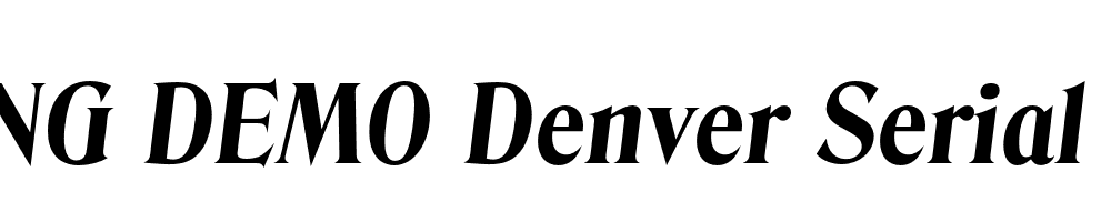  DEMO Denver Serial Xbold Italic