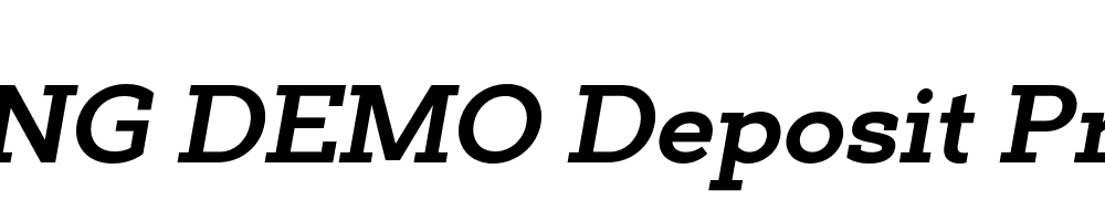  DEMO Deposit Pro Bold Italic