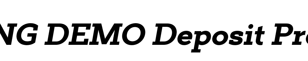  DEMO Deposit Pro ExBd Italic