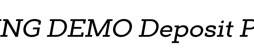  DEMO Deposit Pro Md Italic