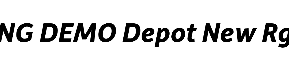  DEMO Depot New Rg Bold Italic