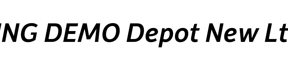  DEMO Depot New Lt Bold Italic