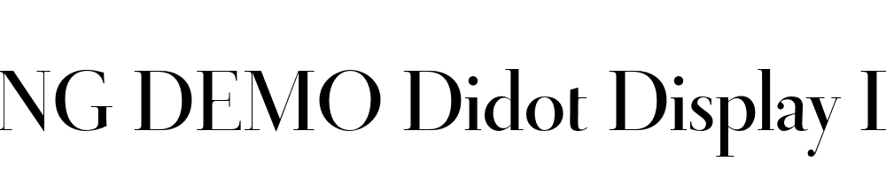  DEMO Didot Display Demi Regular