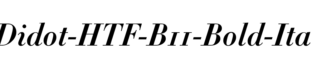 Didot-HTF-B11-Bold-Ital