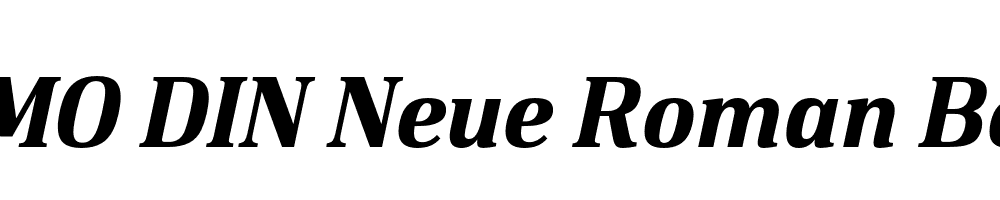 FSP DEMO DIN Neue Roman Bold Italic