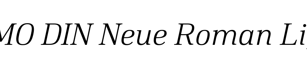 FSP DEMO DIN Neue Roman Light Italic