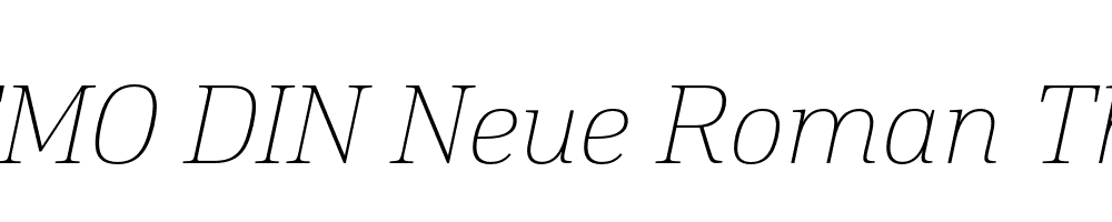 FSP DEMO DIN Neue Roman Thin Italic