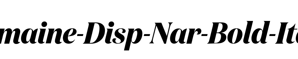 Domaine-Disp-Nar-Bold-Italic