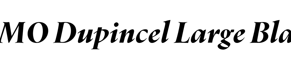 FSP DEMO Dupincel Large Black Italic