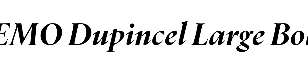 FSP DEMO Dupincel Large Bold Italic