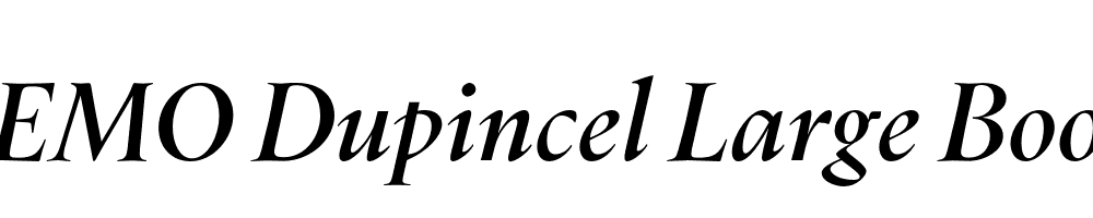 FSP DEMO Dupincel Large Book Italic