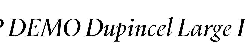 FSP DEMO Dupincel Large Italic