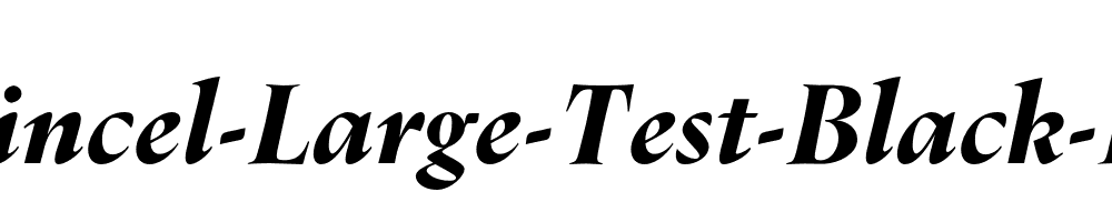 Dupincel-Large-Test-Black-Italic