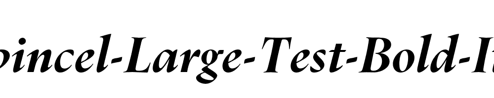 Dupincel-Large-Test-Bold-Italic