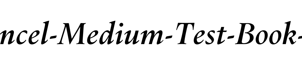 Dupincel-Medium-Test-Book-Italic