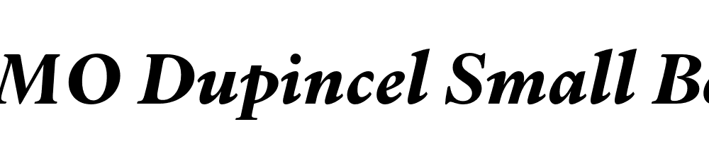 FSP DEMO Dupincel Small Bold Italic