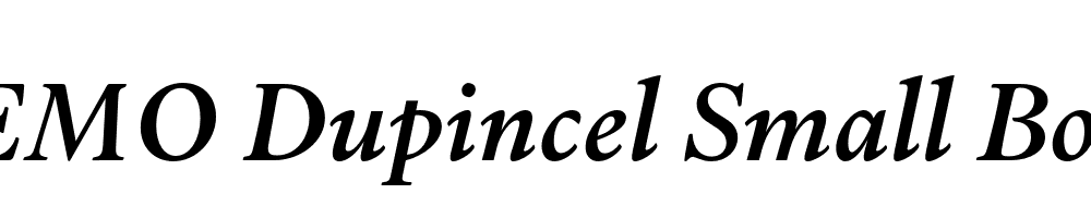 FSP DEMO Dupincel Small Book Italic