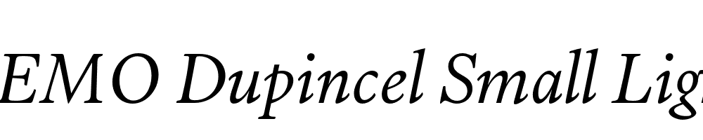 FSP DEMO Dupincel Small Light Italic