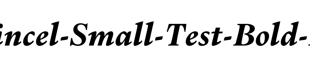 Dupincel-Small-Test-Bold-Italic