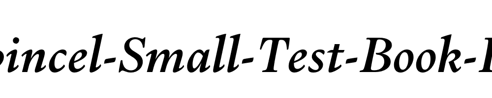 Dupincel-Small-Test-Book-Italic