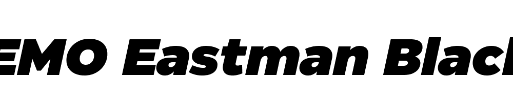 FSP DEMO Eastman Black Italic