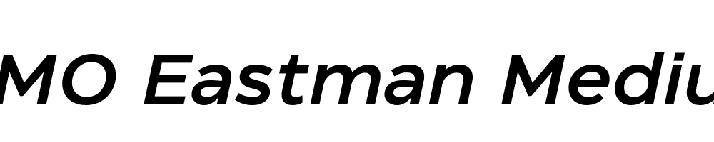 FSP DEMO Eastman Medium Italic