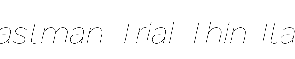 Eastman-Trial-Thin-Italic