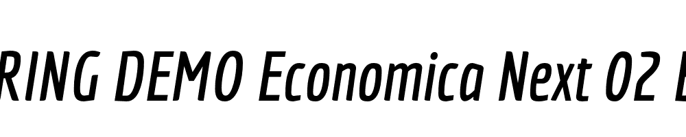  DEMO Economica Next 02 Bold Italic