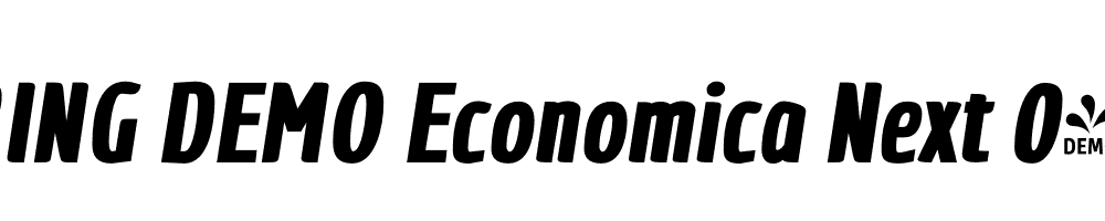  DEMO Economica Next 04 Fat Italic