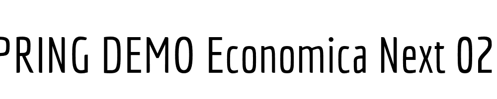  DEMO Economica Next 02 Regular